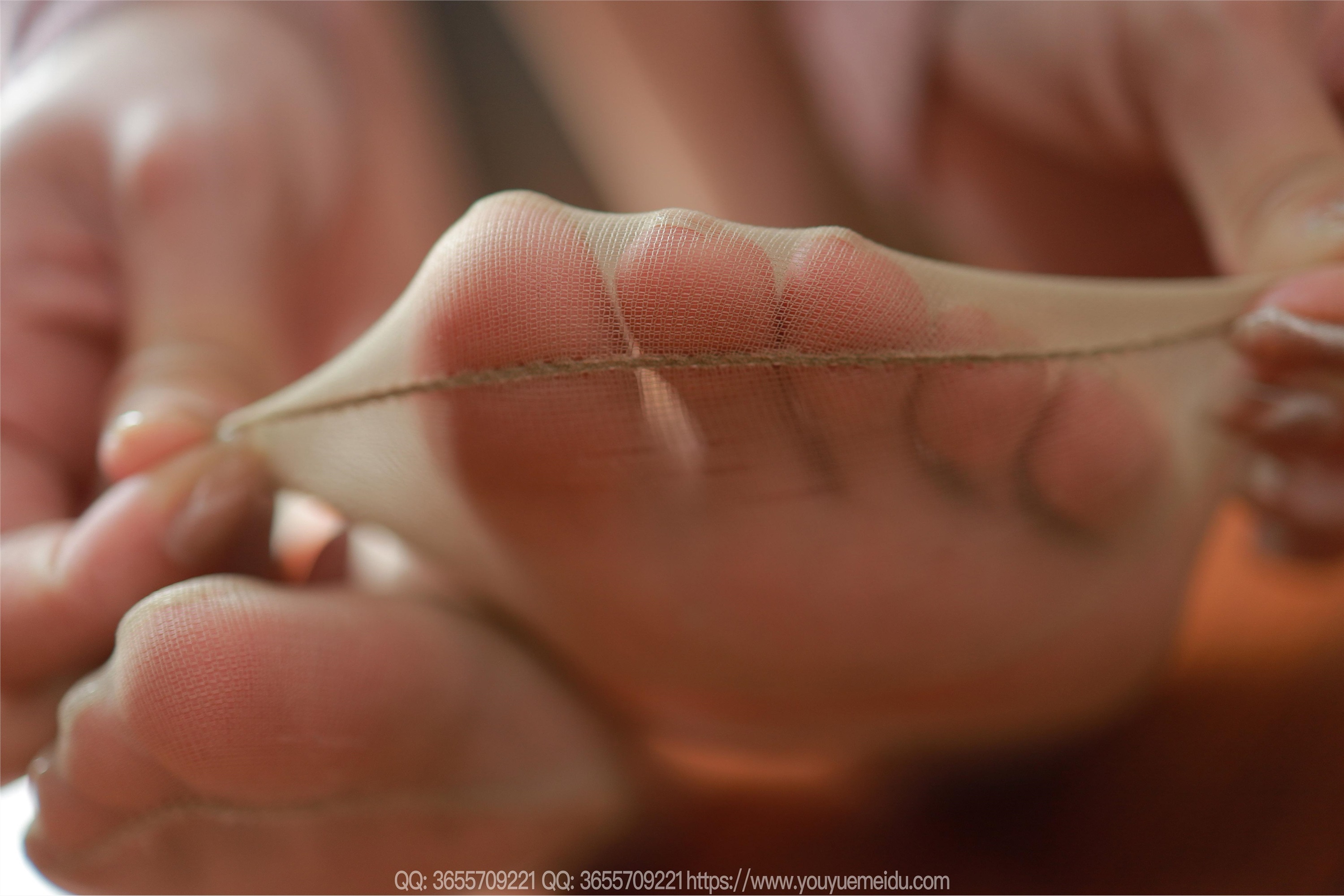 IESS异思趣向  2025.04.16 丝享家 .2029 婉萍《短裤肉丝》